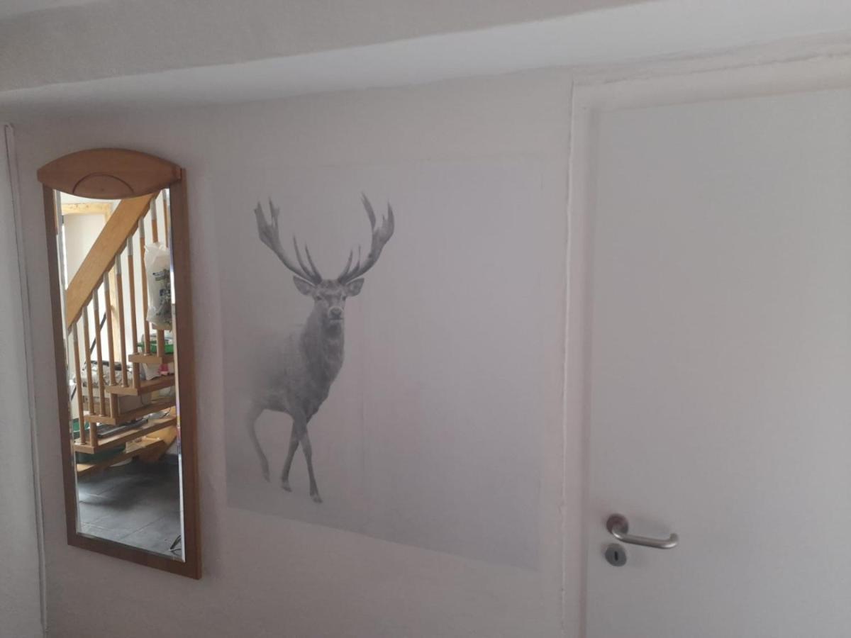 Ferienwohnung Beckmann Bad Lauterberg im Harz Exterior foto